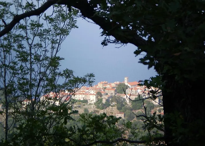 Πανσιόν Mario